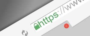 “Many CMS plug-ins disable TLS certificate validation.