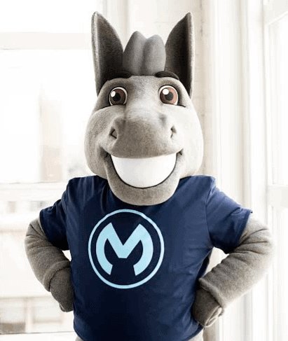 max-the-mule max-the-mule