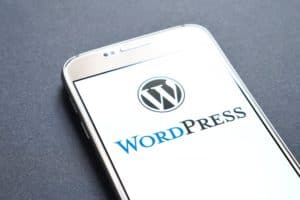 WordPress is working on automatic updates for themes and plugins