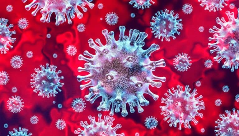 Tech giants release dataset for corona virus research