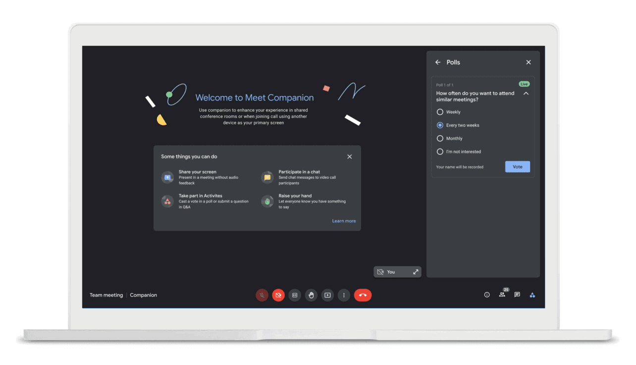 google-Companion Google Companion