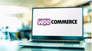 WooCommerce plugin activates payment offering in the EU