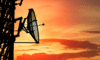 EC approves Orange acquisition, compliant with competitor commitments
