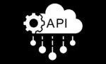 Noname Security gives API Security Platform more features