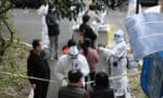 ‘Hacker offers data of tens of millions of Shanghainese residents’