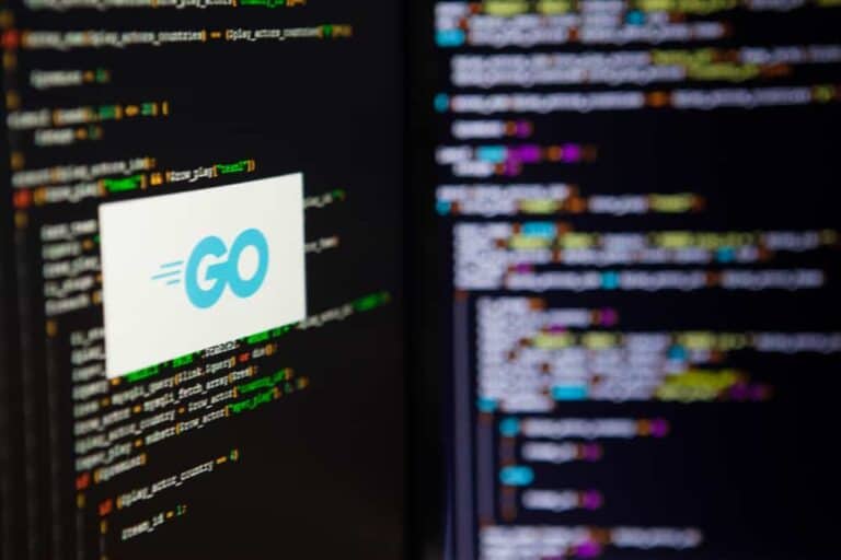 Programming language Go gets vulnerability scanner