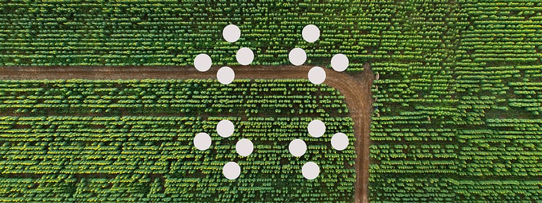 IBM will make cloud carbon emissions transparent