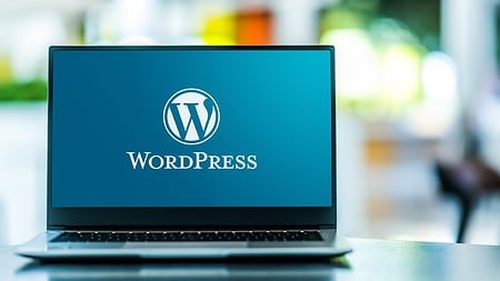 Vulnerability in popular WordPress plugin affects million websites