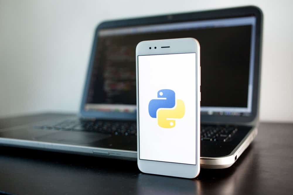 Popularity of Python continues to rise against backdrop of AI race ...