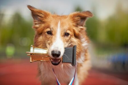 Datadog aims for ‘best in show’ on cloud efficiency