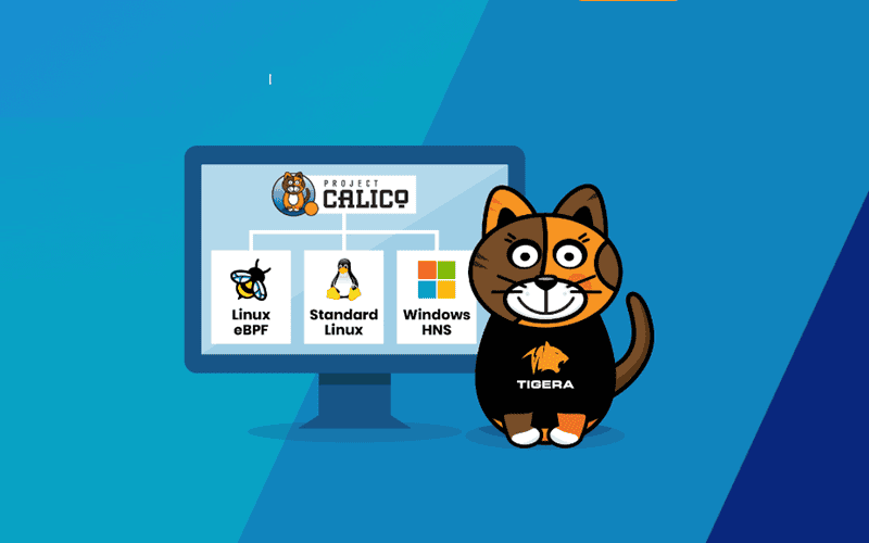 Calico boxes up universal microsegmentation for containers - Techzine ...