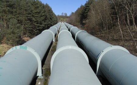 Down the embedded AI model pipeline