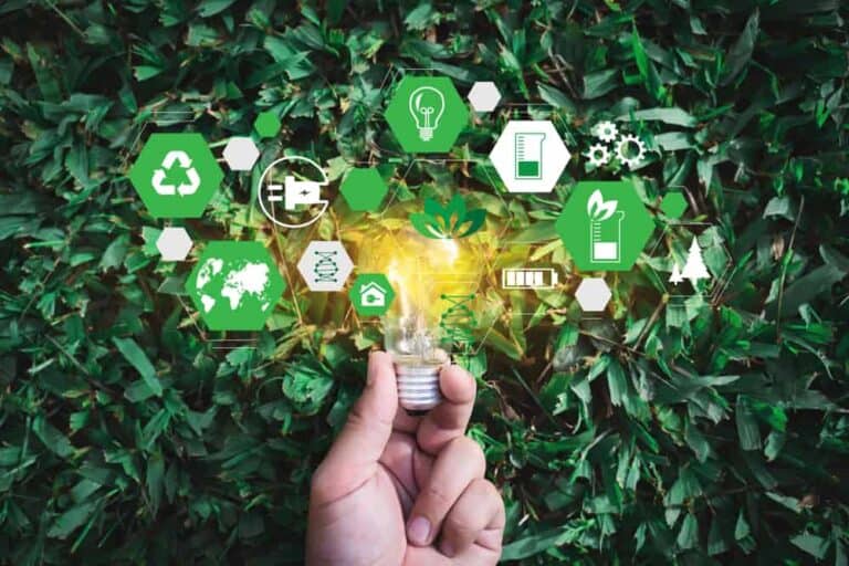 Eurofiber secures SBTi approval for Net-Zero climate targets