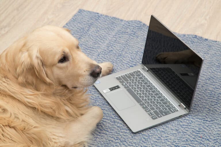 RAG ‘2.0’: the Instructed Retriever links AI agents to the right data