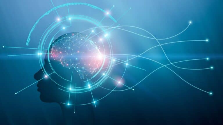 Snowflake CEO: Software risks becoming a “dumb data pipe” for AI