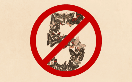 US blocks Claude Fable 5 and Mythos 5: is frontier AI now too dangerous?