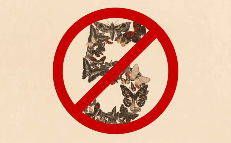 US blocks Claude Fable 5 and Mythos 5: is frontier AI now too dangerous?