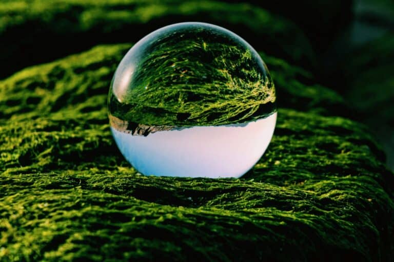Eurofiber scores well in voluntary ESG assessment