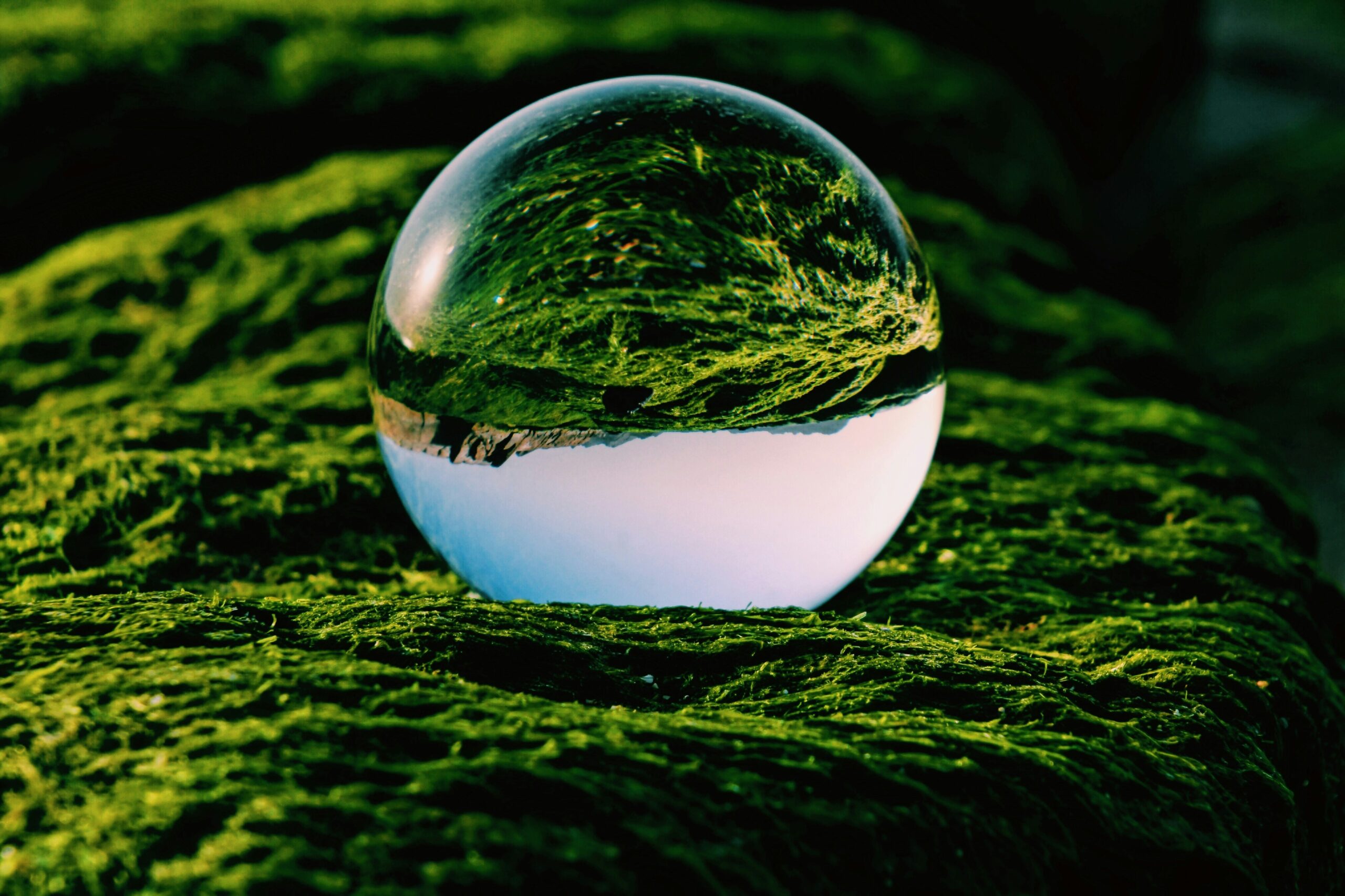 Eurofiber scores well in voluntary ESG assessment