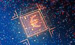 The digital euro: why acceptance will become mandated