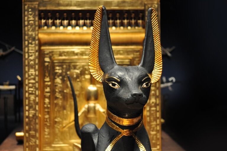 Anubis ransomware exploits CitrixBleed 2 and RMM tools
